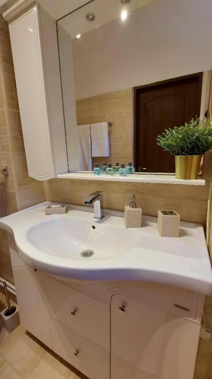 Hotel Ambiennt Bucarest Esterno foto