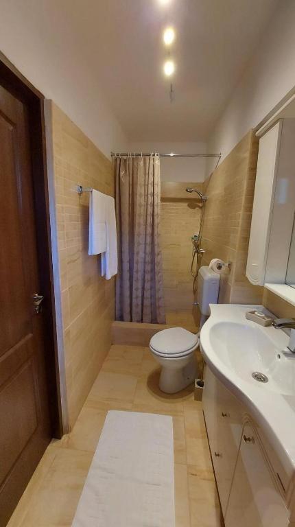 Hotel Ambiennt Bucarest Esterno foto